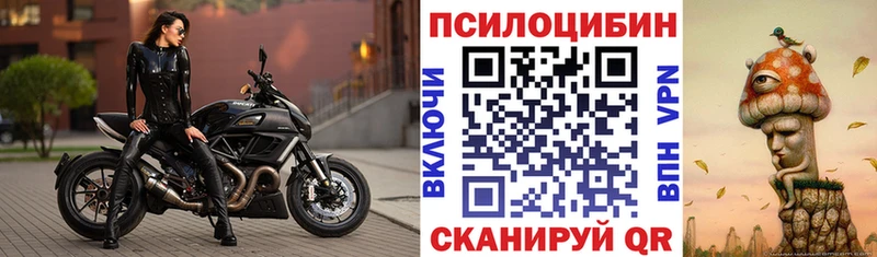 кракен как войти Ахтырский Псилоцибиновые грибы Magic Shrooms